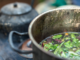 Ayahuasca and the Endocannabinoid System