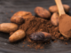 Cacao, a Traditional Plant Medicine for Modern Times