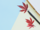 Japanese Cannabis Regulation Reform - Finally?